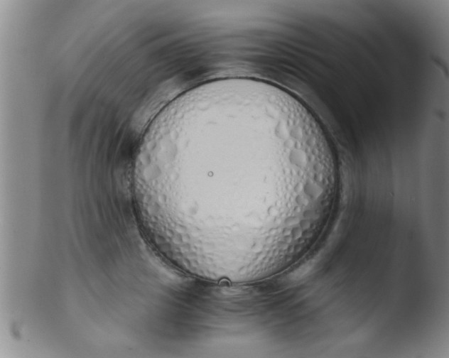 X0000103500857200809262012