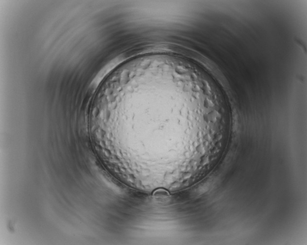 X0000103500858200809262012