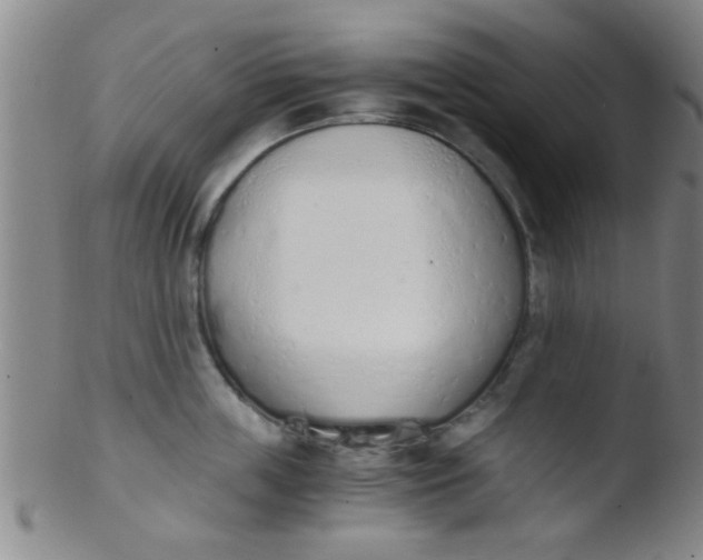 X0000103500859200809262012