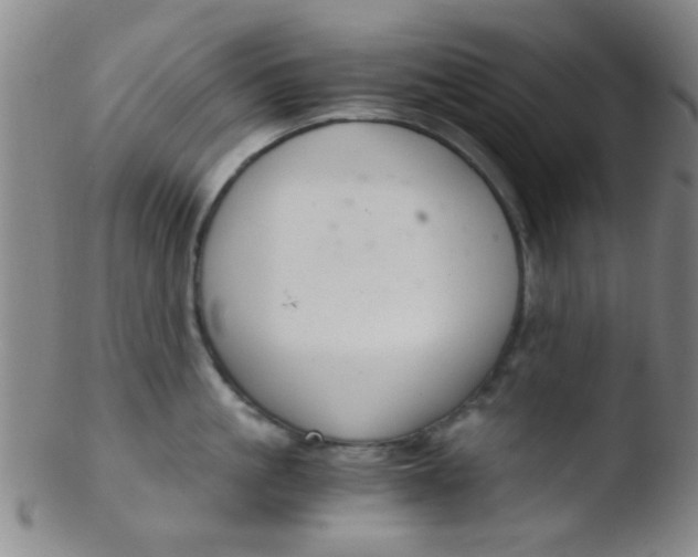 X0000103500861200809262012