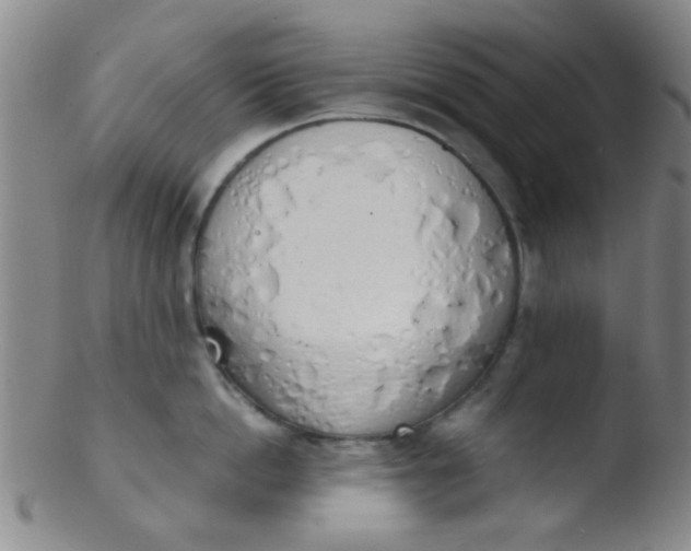 X0000103500862200809262012