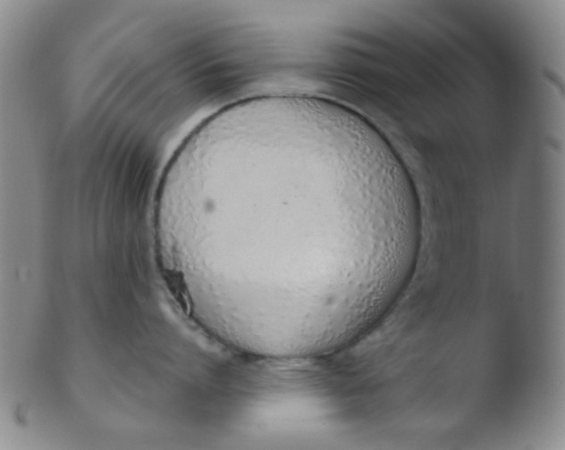 X0000103500864200809262012