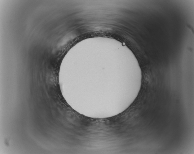 X0000103500869200809262011