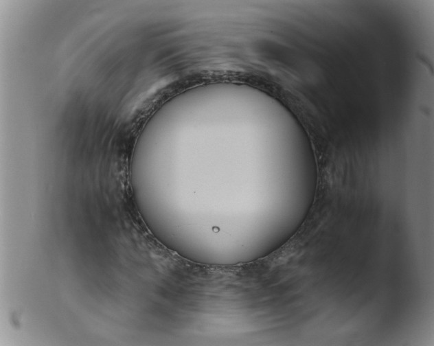 X0000103500870200809262011