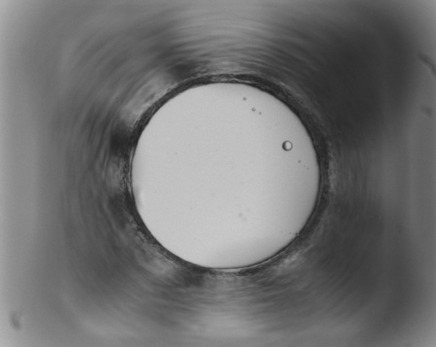 X0000103500873200809262011