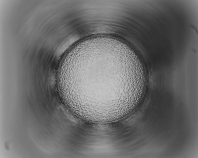 X0000103500874200809262011