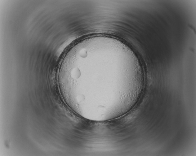 X0000103500875200809262011