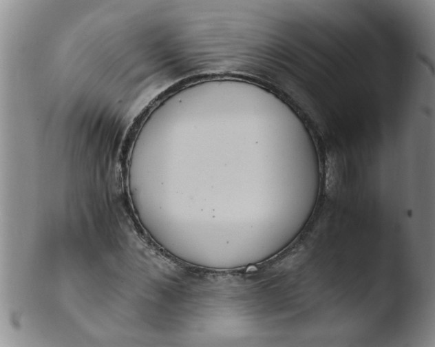 X0000103500876200809262011