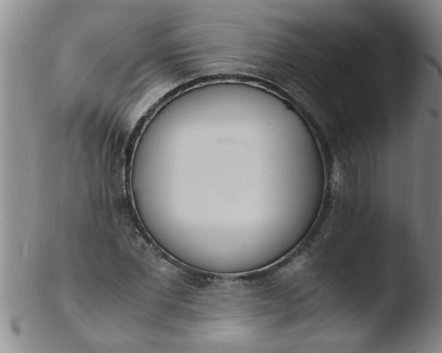 X0000103500877200809262011