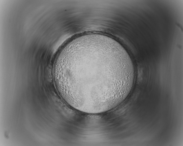 X0000103500878200809262011