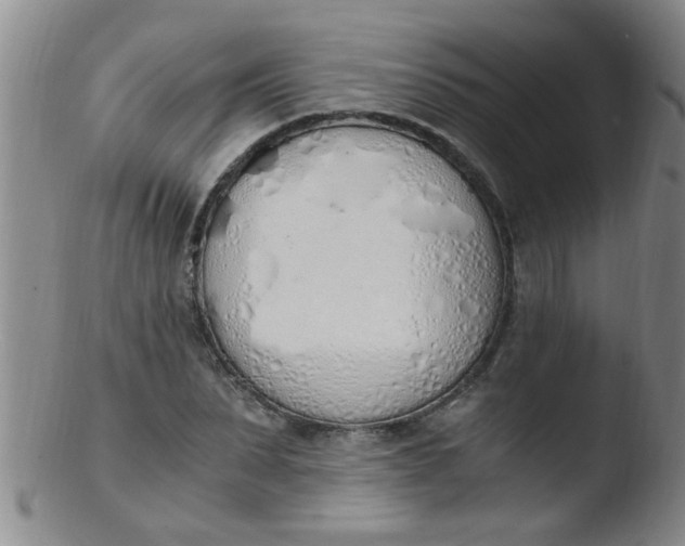 X0000103500879200809262011