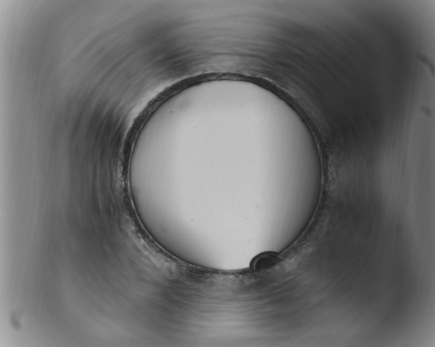 X0000103500880200809262011