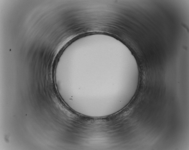 X0000103500884200809262011