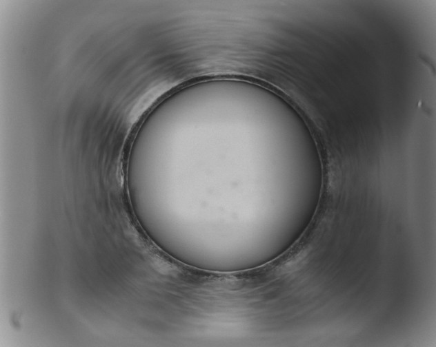 X0000103500885200809262011