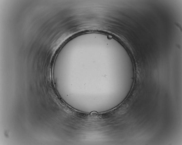 X0000103500887200809262011