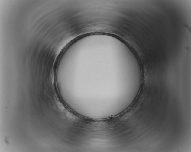 X0000103500888200809262011