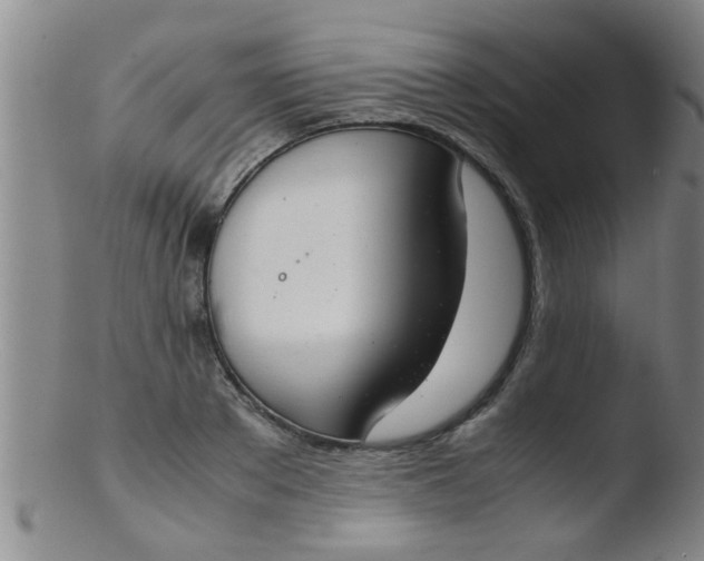 X0000103500889200809262011