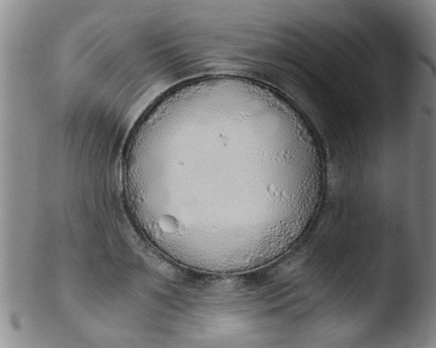 X0000103500891200809262011