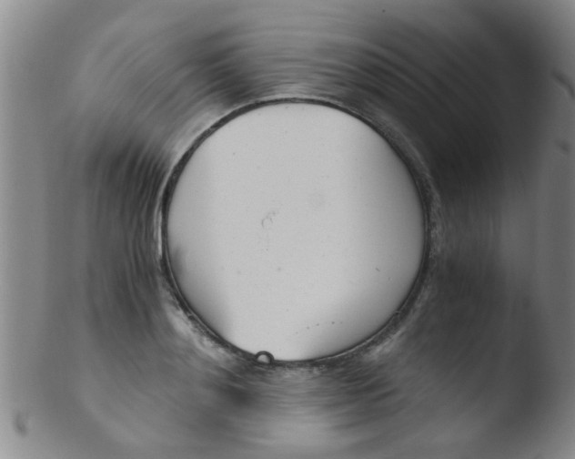 X0000103500892200809262011