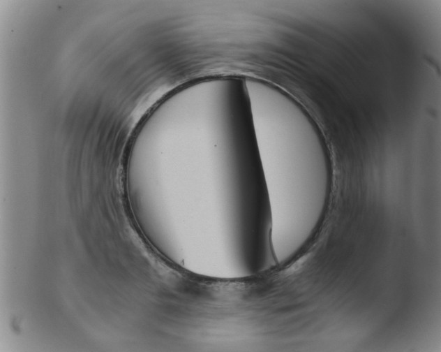 X0000103500893200809262011