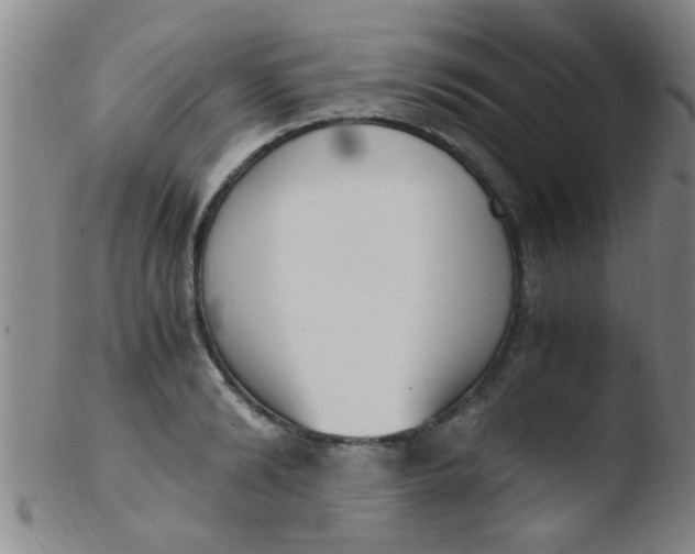 X0000103500894200809262011