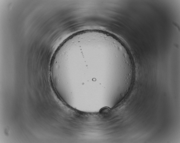 X0000103500895200809262011