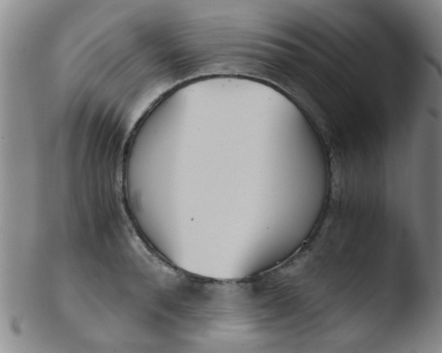 X0000103500896200809262011