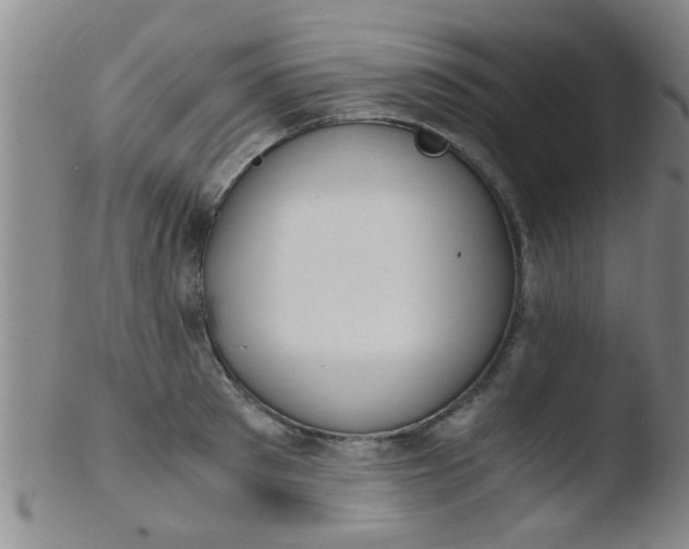 X0000103500897200809262011