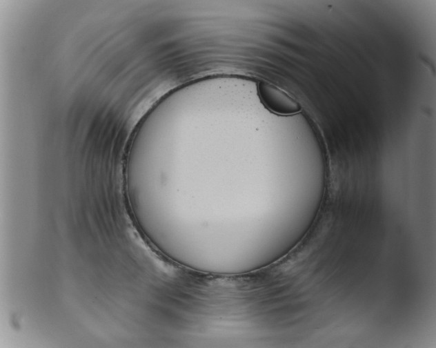 X0000103500898200809262011