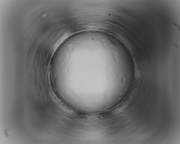 X0000103500899200809262011