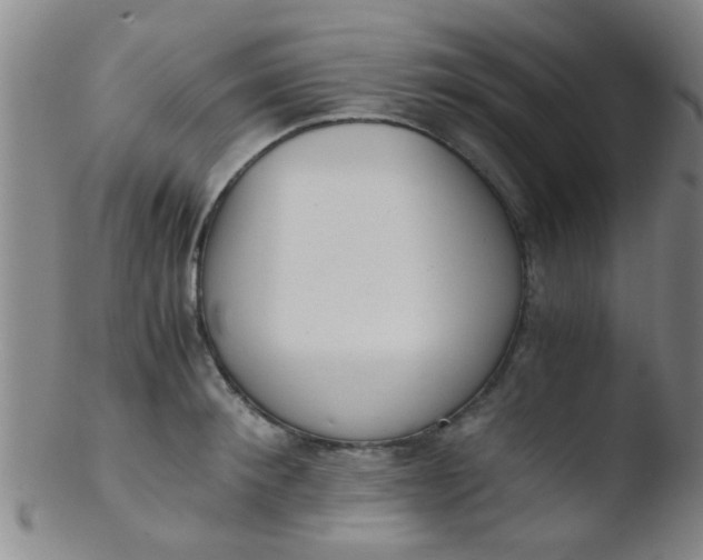 X0000103500900200809262011