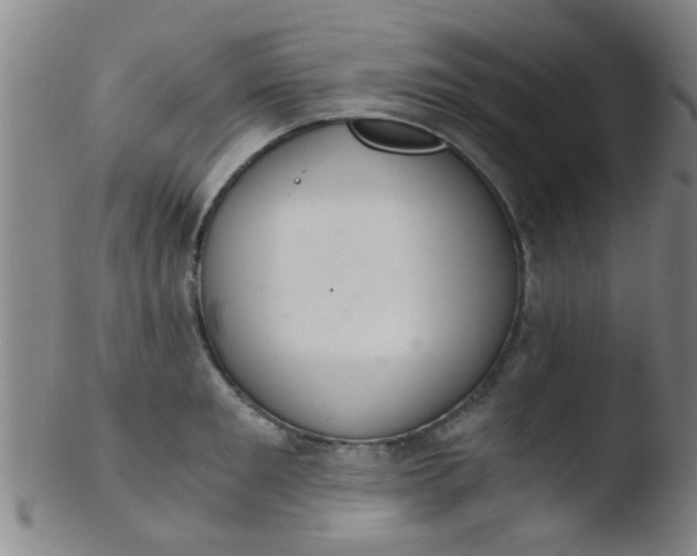 X0000103500901200809262011