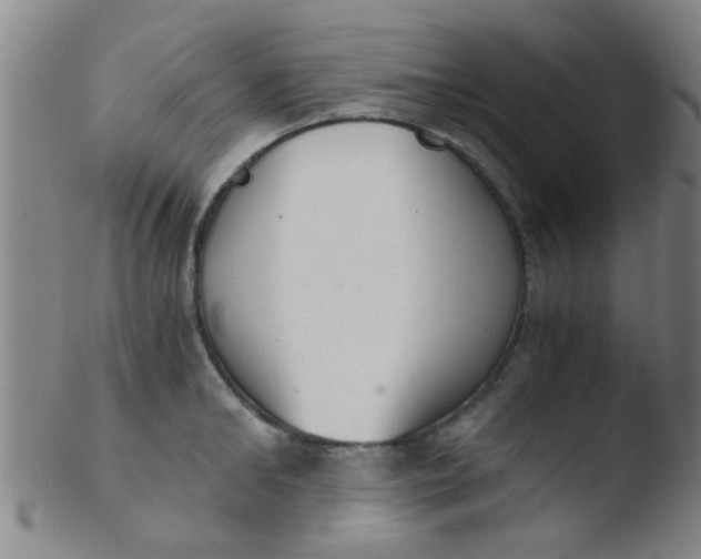 X0000103500902200809262011