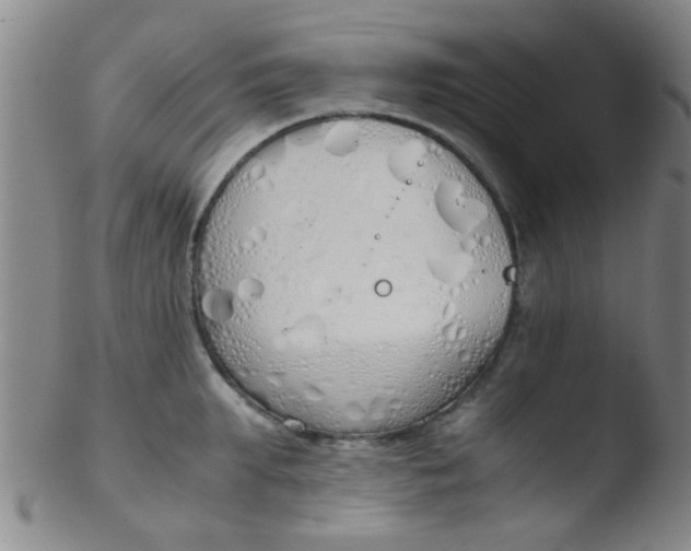 X0000103500903200809262011