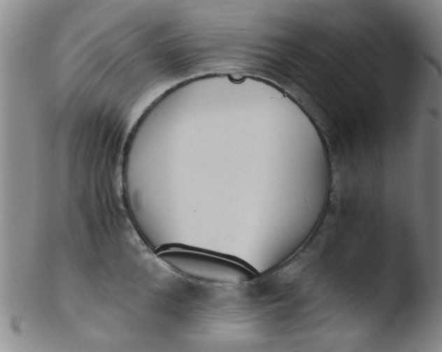 X0000103500904200809262011