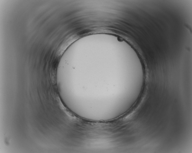 X0000103500905200809262011