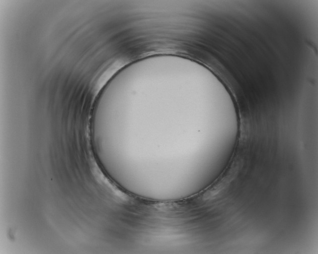 X0000103500906200809262011