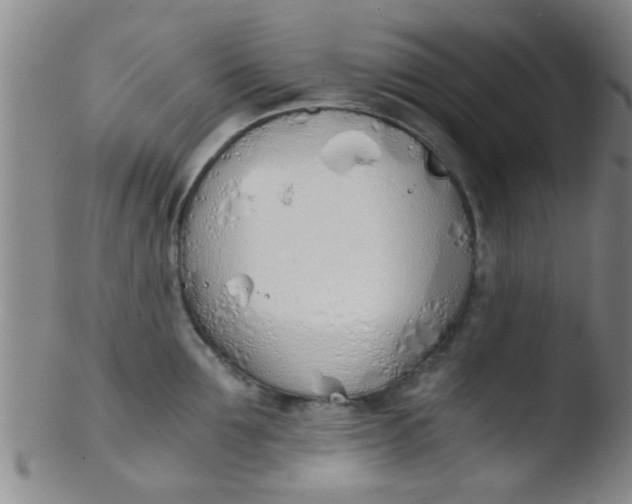 X0000103500907200809262011