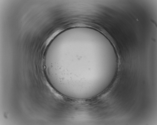 X0000103500909200809262011