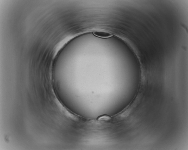 X0000103500910200809262010