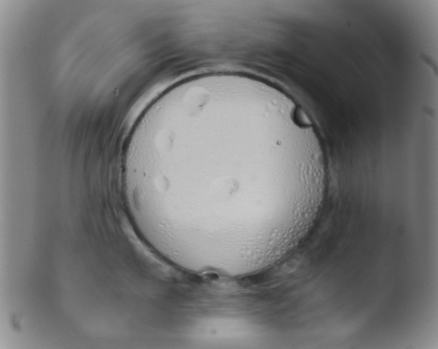 X0000103500911200809262010