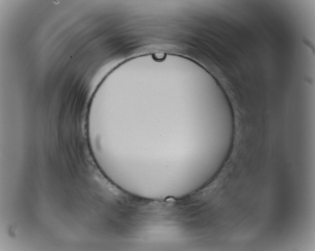 X0000103500912200809262010