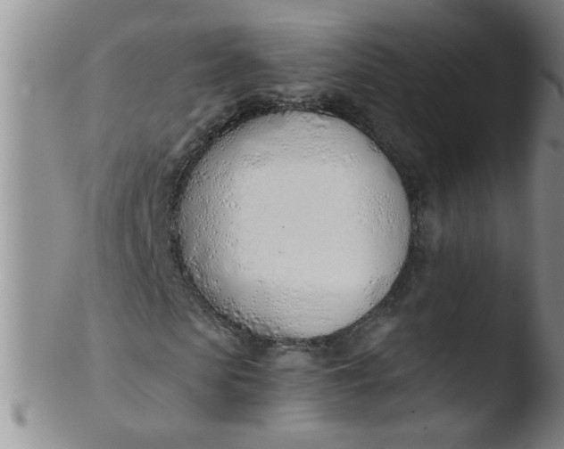 X0000103500913200809262010