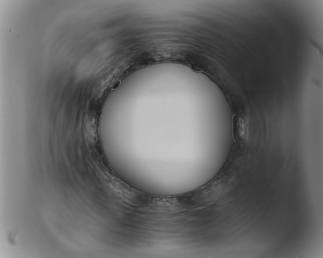 X0000103500915200809262010