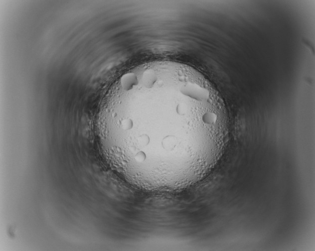 X0000103500917200809262010