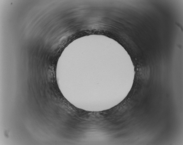 X0000103500918200809262010