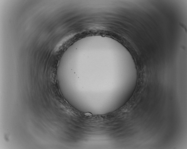 X0000103500919200809262010