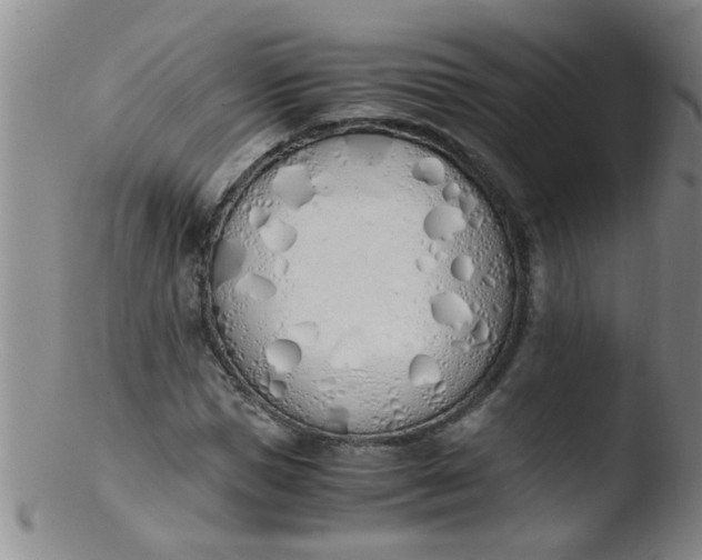 X0000103500921200809262010