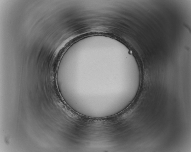 X0000103500923200809262010