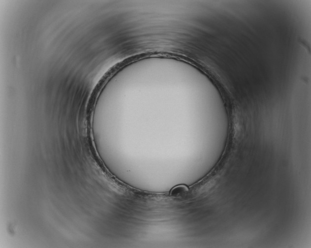 X0000103500924200809262010